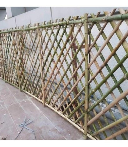 Jafari Bamboo