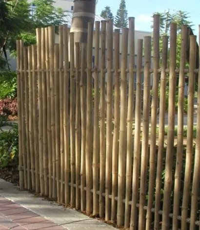 Jafari Bamboo