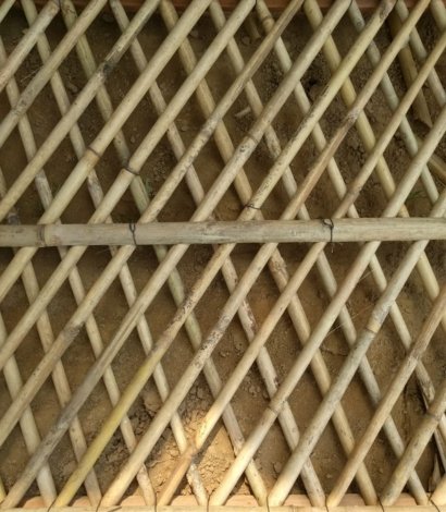 Jafari Bamboo